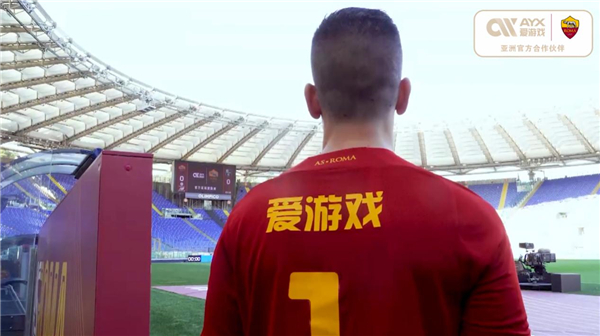 实行动静结